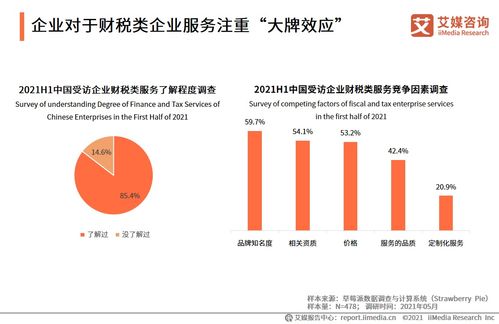 2021上半年中國(guó)財(cái)稅企業(yè)服務(wù)洞察 信息技術(shù)咨詢(xún)驅(qū)動(dòng)行業(yè)變革